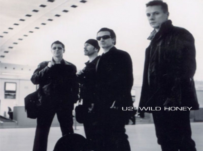 U2 - Wild honey [Promo-CD]